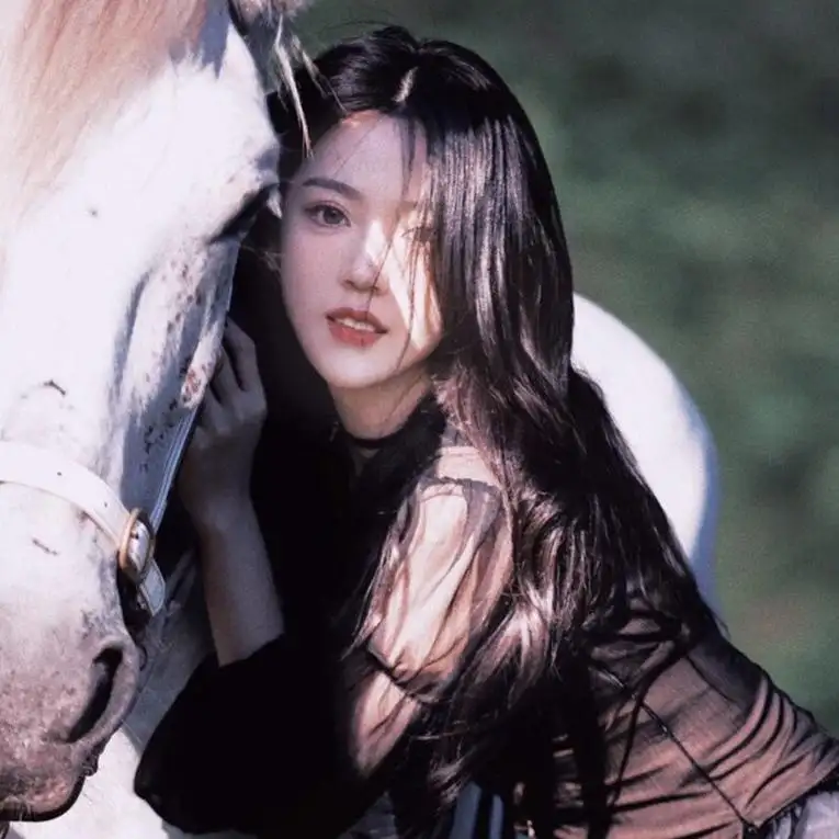 北京上海高端商务伴游杨幂