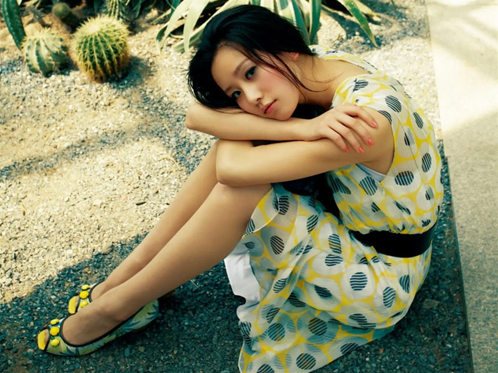 src=http __up.enterdesk.com_photo_2012-3-31_enterdesk.com-FF65C72BD351AECD12B54D4AB63DD3E3.jpg&refer=http __up.enterdesk.webp